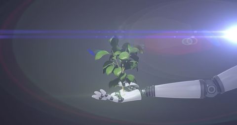 Futuristic Robot Hand Holding Green Plant Symbolizes Technology Growth - Download Free Stock Images Pikwizard.com
