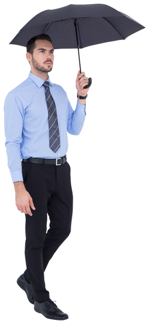 Transparent Businessman Standing Holding Black Umbrella - Download Free Stock Videos Pikwizard.com