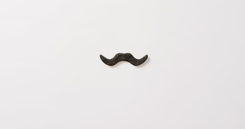 Black Moustache Prop on White Background