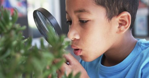 Young Student Curiously Examines Plant with Magnifying Glass - Download Free Stock Images Pikwizard.com