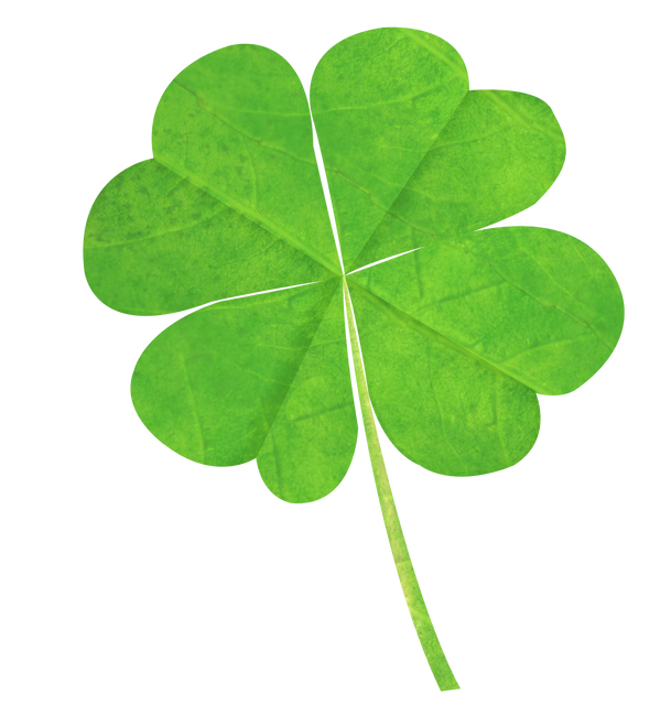 Green Four Leaf Clover Digital Illustration on Transparent Background - Download Free Stock Videos Pikwizard.com