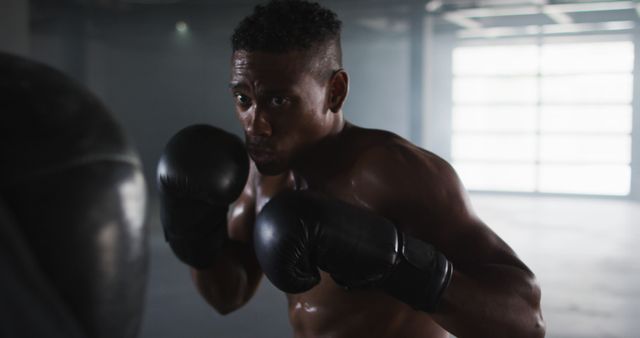 Determined Boxer Training Hard in Ring - Download Free Stock Images Pikwizard.com