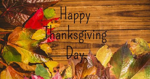 Happy Thanksgiving Day Text Over Autumn Leaves