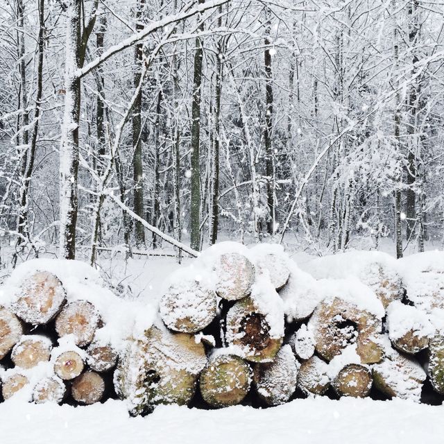 Snow-covered logs stacked in winter forest - Download Free Stock Photos Pikwizard.com