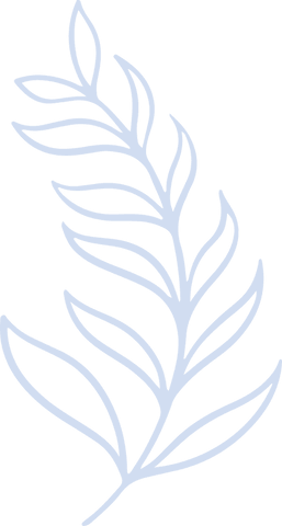 Elegant Stylized Leafy Branch with Invisible Backdrop - Download Free Stock Videos Pikwizard.com