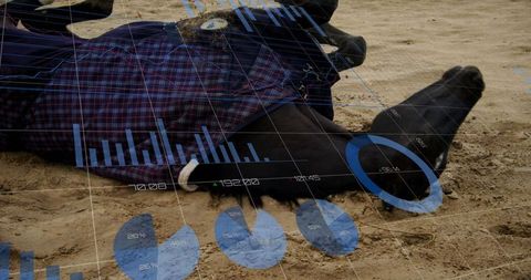 Digital Interface with Statistical Graphs over Horser Decor Bus Sund Setting Cali