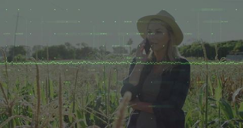 Smart farming concepts with digital data overlay in cornfield