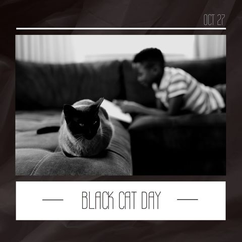 black cat day celebration with relaxed atmosphere - Download Free Stock Templates Pikwizard.com