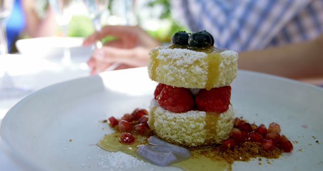 Decadent gourmet dessert featuring layered cake with fresh raspberries and blueberries, drizzled with honey and sprinkled with powdered sugar. Perfect for use in culinary blogs, restaurant advertisements, or food magazines showcasing luxurious dining experiences and high-end treats.