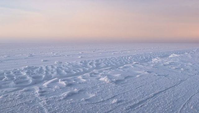 Windswept arctic sea ice with sastrugi ridges and pastel sunrise minimalist landscape