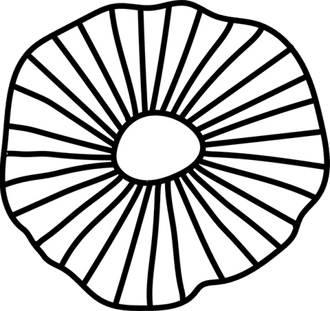 monochrome mushroom cap vector with radiating lines on transparent background - Download Free Stock Videos Pikwizard.com