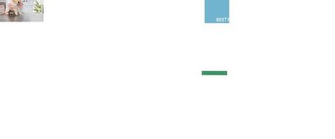 Veterinarian examination with happy dog