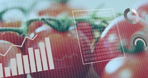 Tomato growing data analytics in advanced greenhouse technology