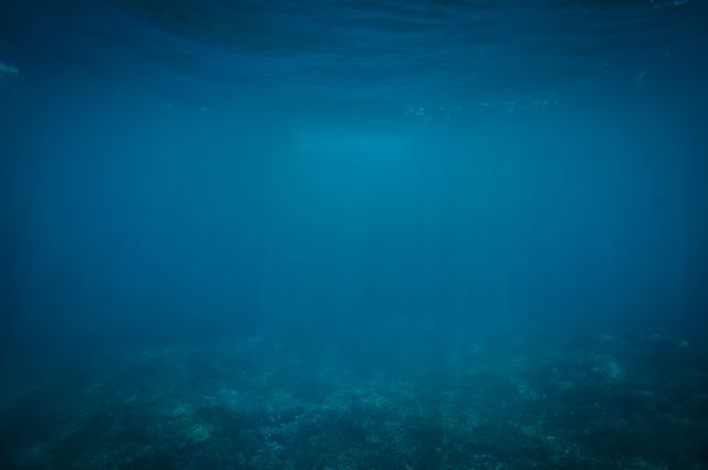 Tranquil Underwater Scene with Deep Blue Ocean Water - Download Free Stock Photos Pikwizard.com