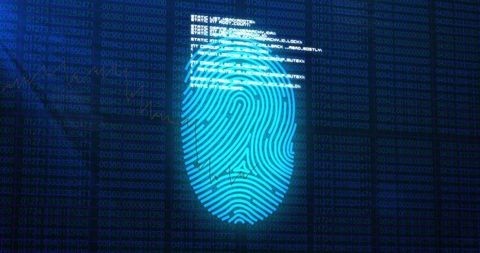 Digital Fingerprint and Data Stream on Dark Screen - Download Free Stock Images Pikwizard.com