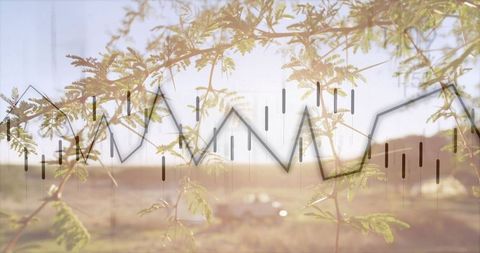 Agricultural Analytics Visualization with Tree Branch Overlay