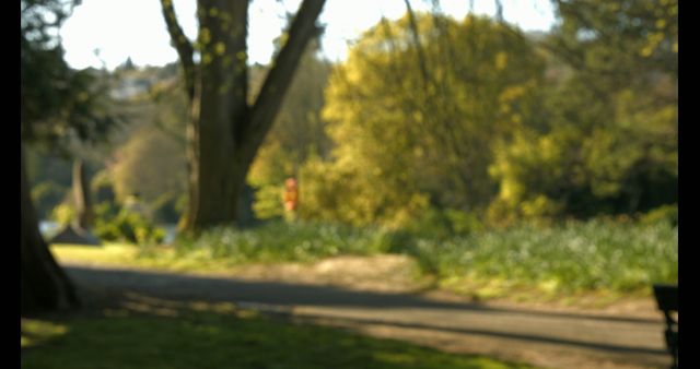 Out-of-focus image of a park pathway bathed in sunlight on a spring day, surrounded by lush trees and greenery. Ideal as a background for designs emphasizing tranquility, nature, or outdoor activities. Can be used in presentations, websites, or promotional materials related to parks, relaxation, or natural beauty.