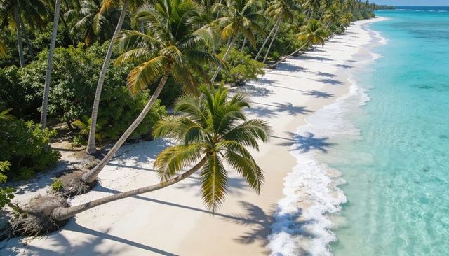 Leaning coconut palms casting long shadows on white sand and turquoise tropical shoreline