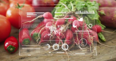 Smart Produce Analytics Displaying Fresh Radishes with HUD Data Overlay and Market Charts