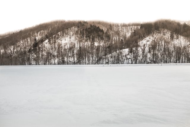 Snow Winter Landscape - Download Free Stock Photos Pikwizard.com