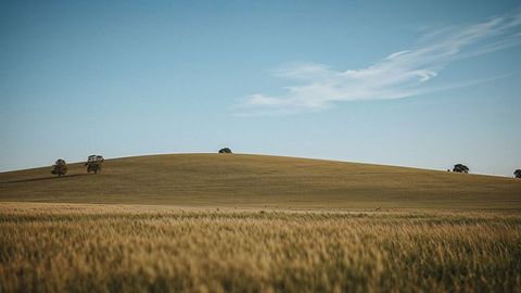 Tranquil nebraska countryside landscape with rolling hill and solitary trees