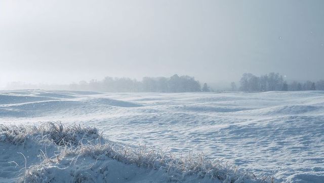 Snow-Covered Prairie Dunes with Frost-Coated Grasses and Misty Horizon