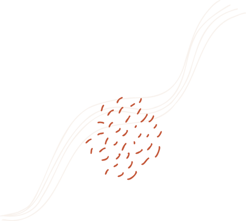 abstract white wave and orange strokes on transparent background - Download Free Stock Videos Pikwizard.com