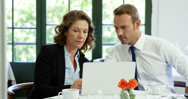 Business Colleagues Discussing Work on Laptop at Café Table - Download Free Stock Images Pikwizard.com