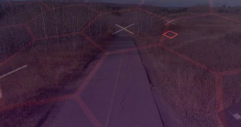 Solitary Road in Vast Open Grassland Meeting Distant Horizon