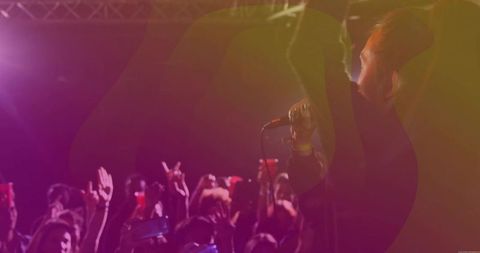 Energetic Concert Night with Vibrant Lighting