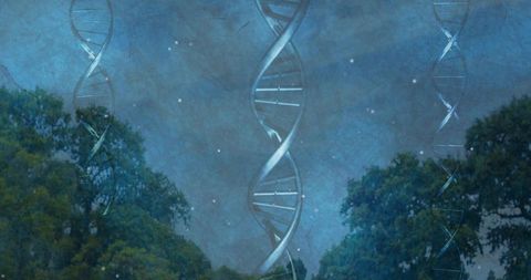 Floating dna helices drifting above forest canopy under ethereal night sky