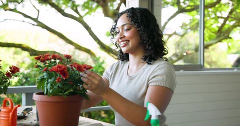 Young woman tending red chrysanthemum on sunny porch for home gardening inspiration