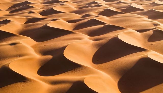 Golden sand dunes sculpting curved ridges and shadows across sunlit desert expanse