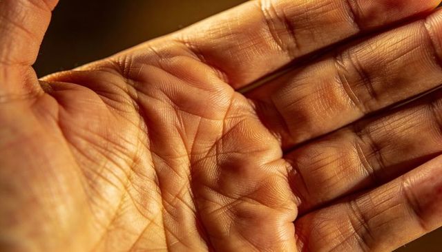 Macro palm and finger skin revealing creases, ridges and warm texture under golden light