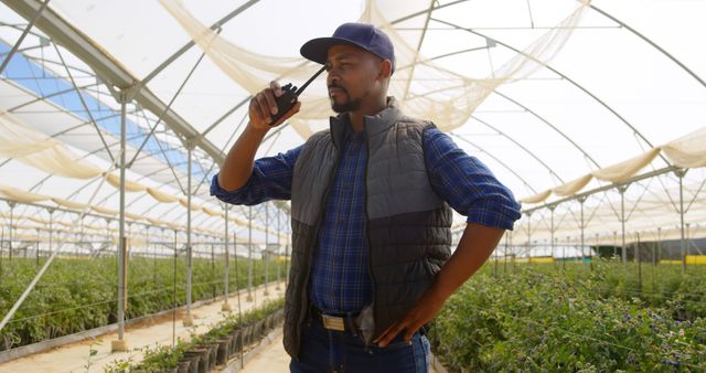 Agricultural Worker Communicating via Walkie-Talkie in Greenhouse - Download Free Stock Images Pikwizard.com