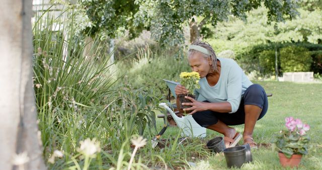 Senior Female Gardener Planting Yellow Flowers in Garden - Download Free Stock Images Pikwizard.com