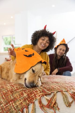 Couple adjusting pumpkin hat on golden retriever while celebrating cozy halloween at home