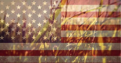 American Flag Overlay on Summer Wheat Field - Download Free Stock Images Pikwizard.com