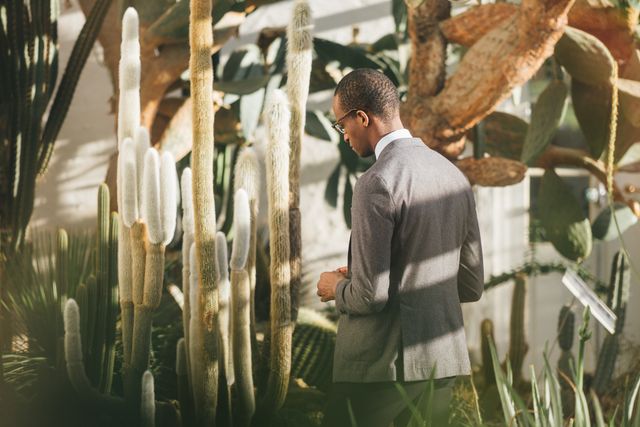 African American businessman in suit thoughtfully examining cacti in greenhouse. Ideal for articles on business mindfulness, workplace wellness, corporate retreats, or nature-inspired leadership. Can also be used to highlight themes of growth, innovation, or natural environments in professional settings.