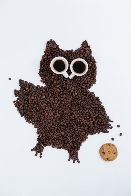 Coffee beans and cups forming owl with cookie on white background