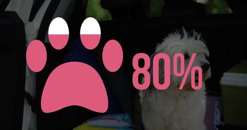 Pink Energy Pup: PAWdomet For Happiness High