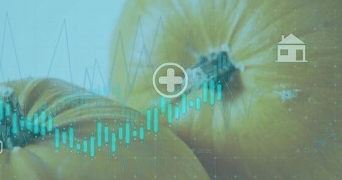 Yellow onions merging with teal data overlay representing food market analytics and agtech