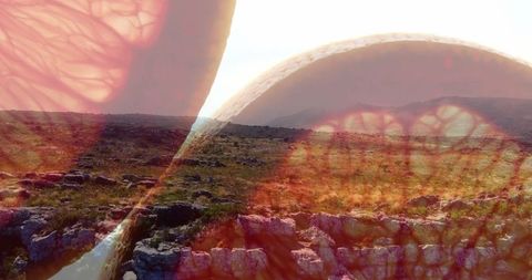 Double exposure abstract grapefruit over rustic plateau