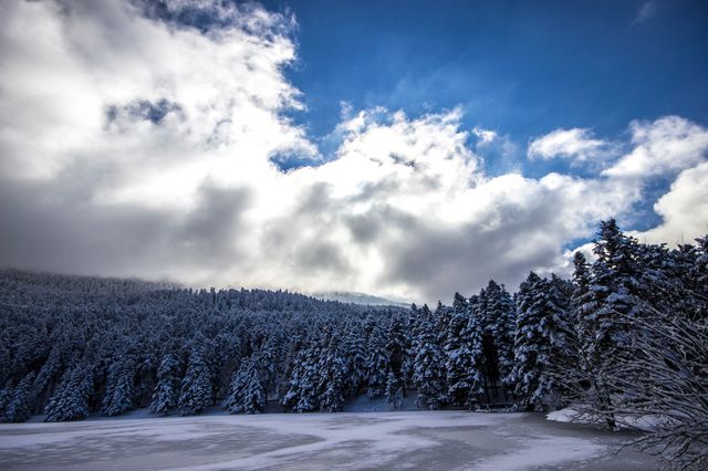 Snow-covered forest under a bright blue sky with swirling clouds. Ideal for winter-themed projects, nature presentations, travel brochures, and seasonal marketing materials showcasing the beauty of winter landscapes.