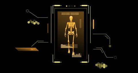 Digital skeleton simpled with futuristic display design