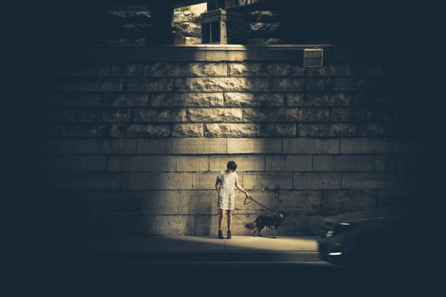 This poignant moment captures a woman walking her dog alone on a dark, deserted street under a dim light. The shadowy urban backdrop evokes a sense of solitude and contemplation, making it perfect for creative projects, storytelling, or conveying themes of isolation and reflection.