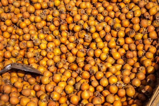 Abundant pile of freshly harvested yellow medlar fruits showcasing their natural, organic quality. Perfect for use in agriculture-related content, promoting fresh produce, healthy eating, and nutrition. Ideal for blogs, websites, or marketing materials focused on farming, food, or health.