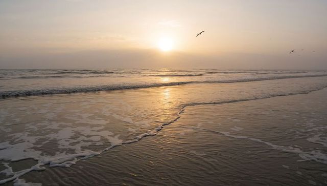 Sunrise casting warm glow on rippling wet sand with seafoam and flying seagulls over sea