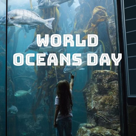 child experiencing ocean wonders in aquarium exhibit - Download Free Stock Templates Pikwizard.com