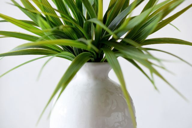 White vase with green decorative plant providing modern and minimalist decor. Suitable for home and office settings for adding elegance and freshness.